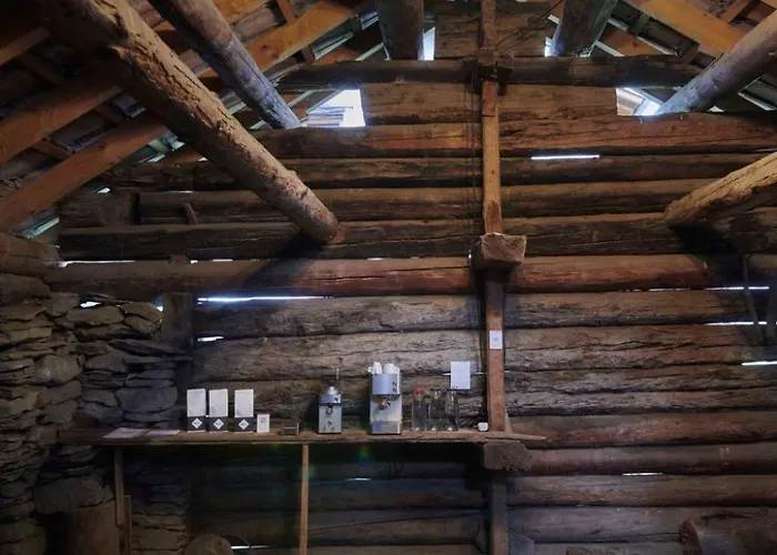 Waterfall House By Interhome Casa de Férias Mesocco